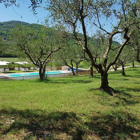 Il Vecchio Gelso - Agriturismo Rimini Montefiore Conca Villa Luaran gambar