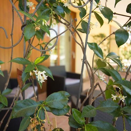 Il Vecchio Gelso - Agriturismo Rimini Montefiore Conca Villa Luaran gambar