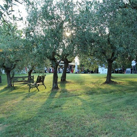 Il Vecchio Gelso - Agriturismo Rimini Montefiore Conca Villa Luaran gambar