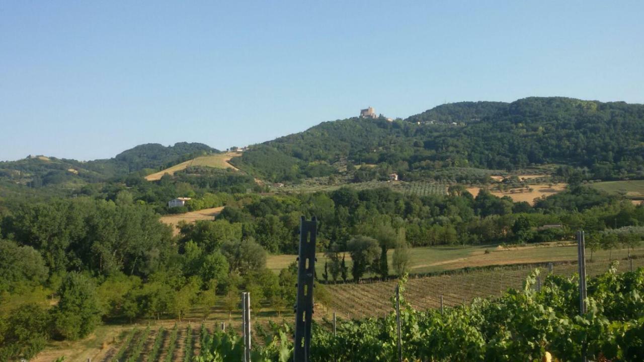 Il Vecchio Gelso - Agriturismo Rimini Montefiore Conca Villa Luaran gambar