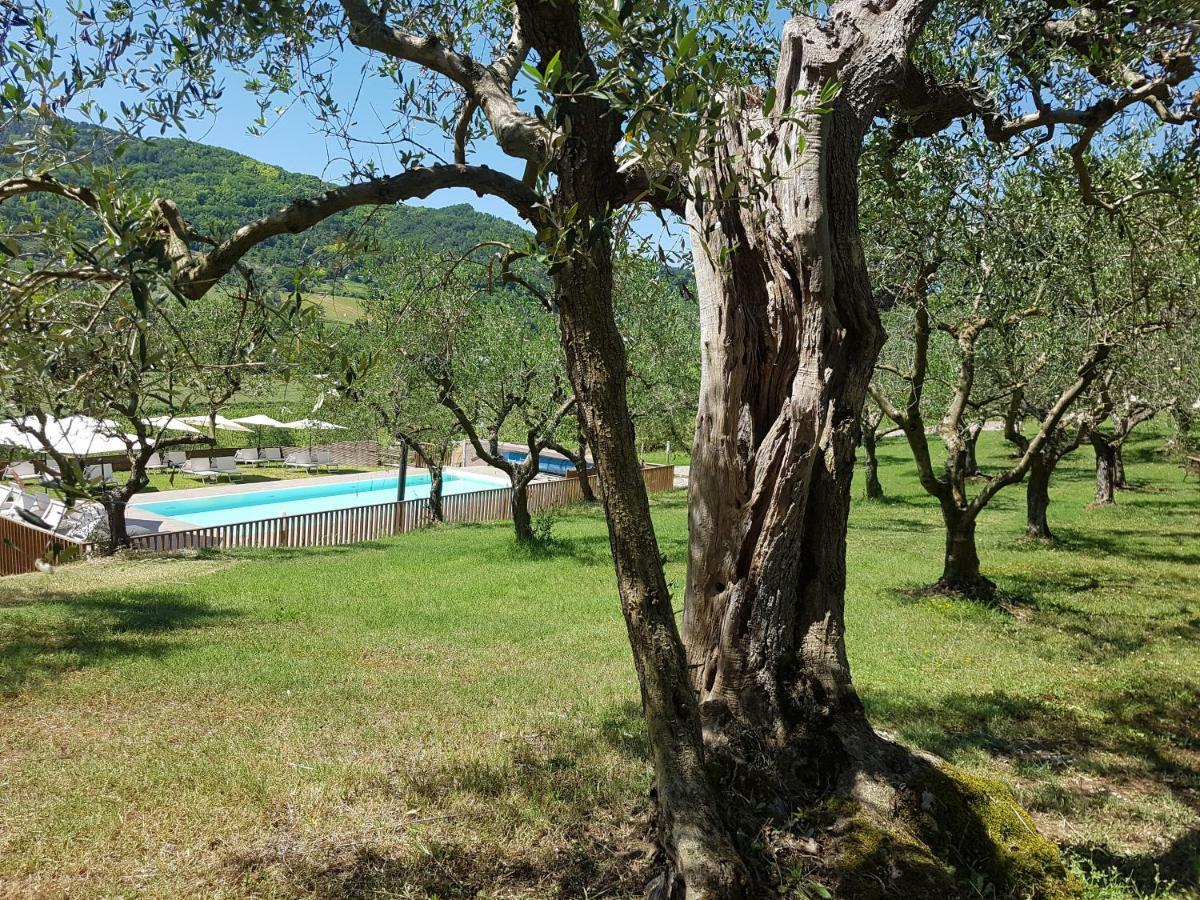 Il Vecchio Gelso - Agriturismo Rimini Montefiore Conca Villa Luaran gambar