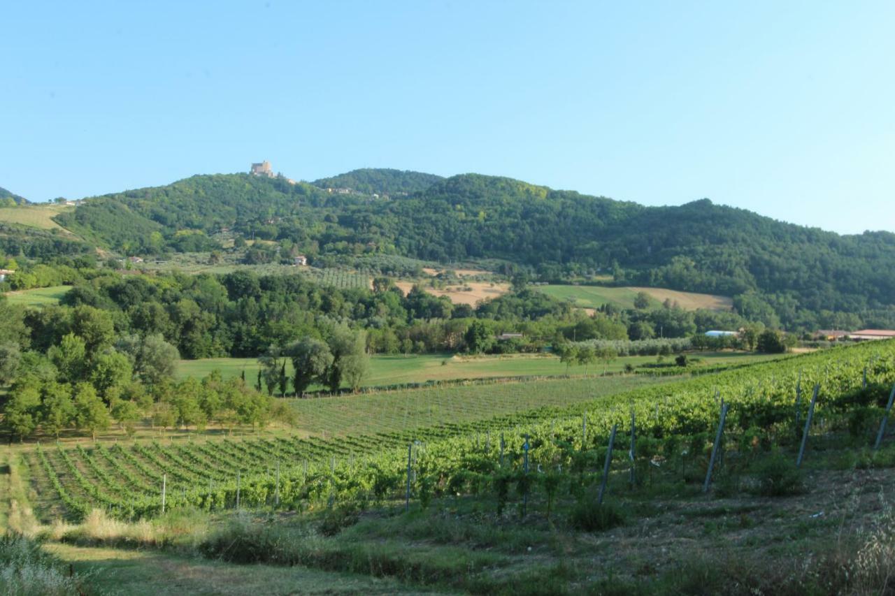 Il Vecchio Gelso - Agriturismo Rimini Montefiore Conca Villa Luaran gambar