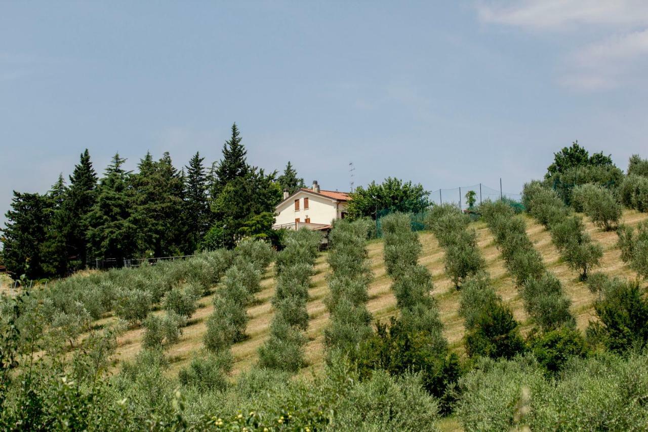 Il Vecchio Gelso - Agriturismo Rimini Montefiore Conca Villa Luaran gambar