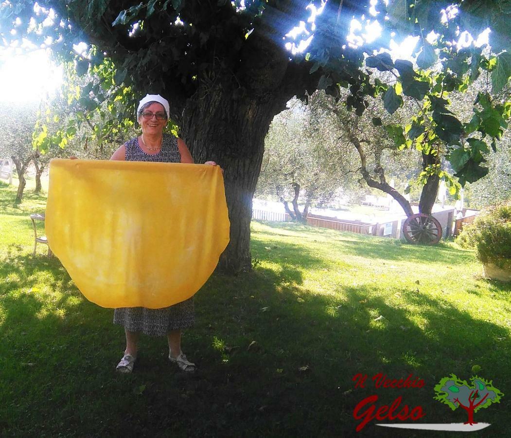 Il Vecchio Gelso - Agriturismo Rimini Montefiore Conca Villa Luaran gambar