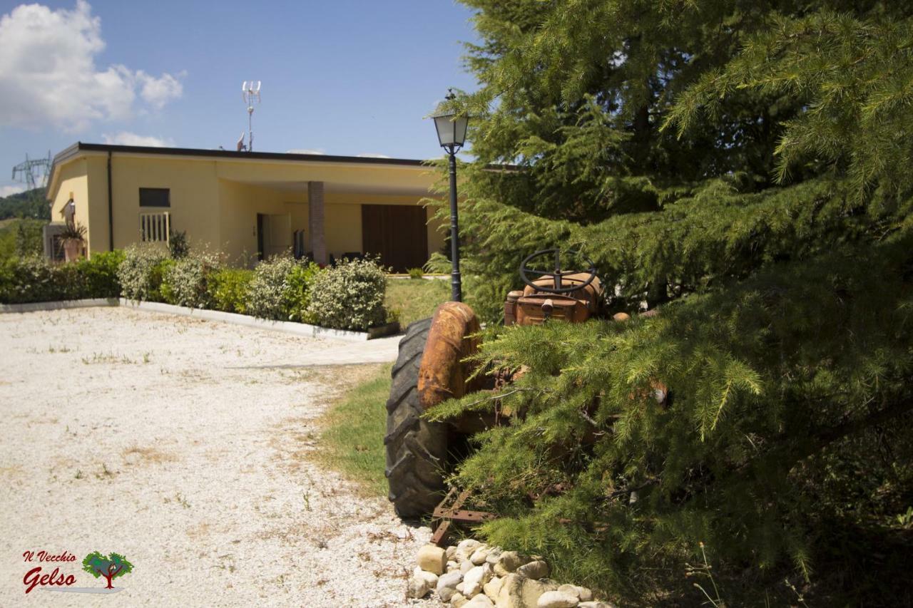 Il Vecchio Gelso - Agriturismo Rimini Montefiore Conca Villa Luaran gambar