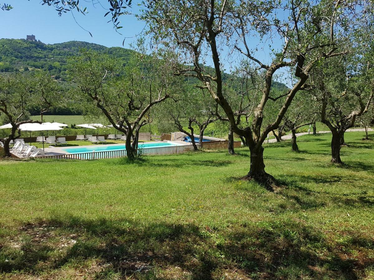 Il Vecchio Gelso - Agriturismo Rimini Montefiore Conca Villa Luaran gambar