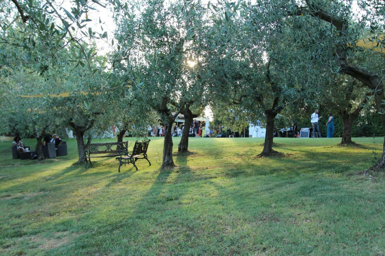 Il Vecchio Gelso - Agriturismo Rimini Montefiore Conca Villa Luaran gambar