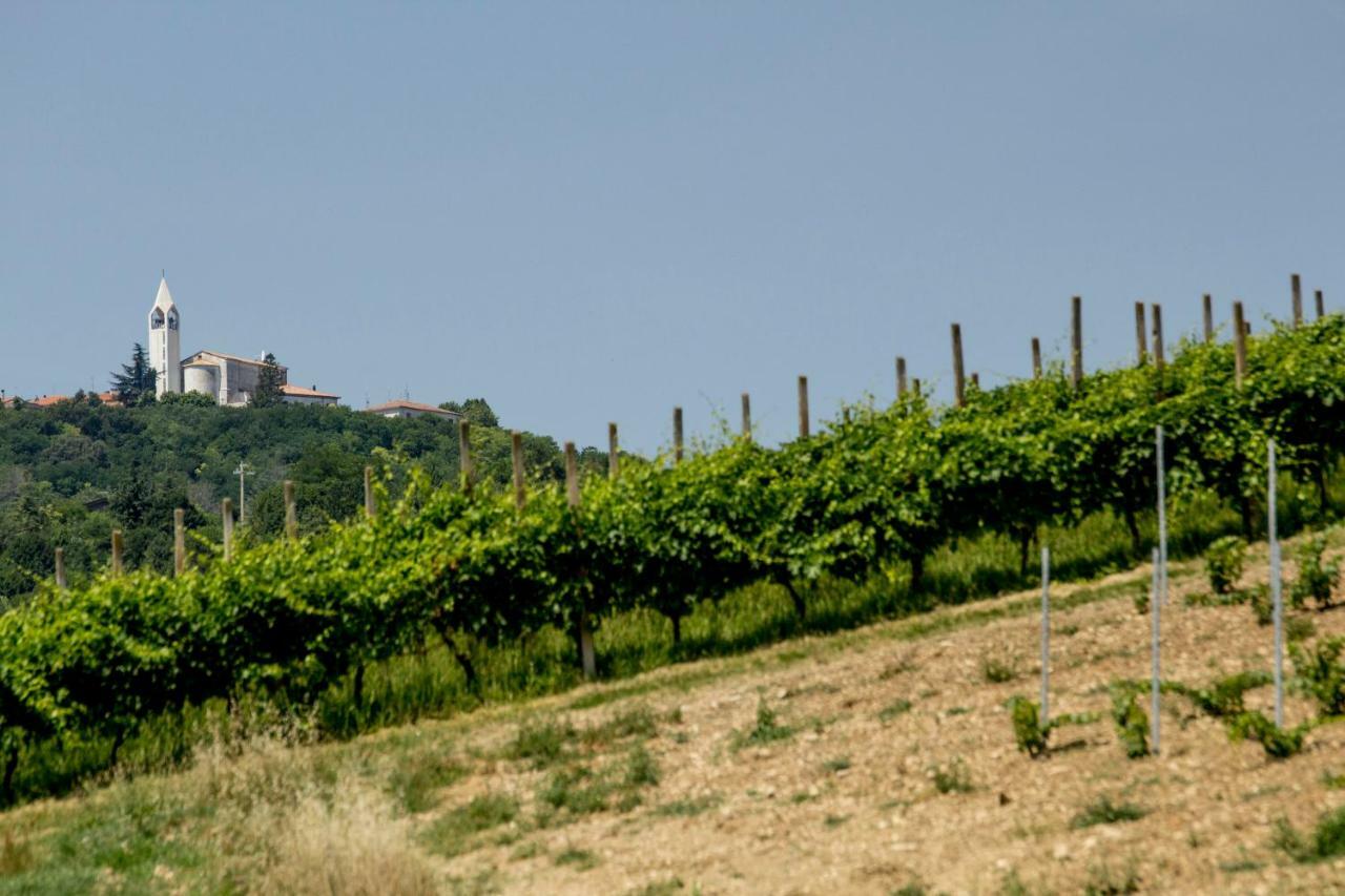 Il Vecchio Gelso - Agriturismo Rimini Montefiore Conca Villa Luaran gambar